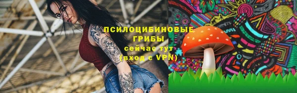 ПСИЛОЦИБИНОВЫЕ ГРИБЫ Навашино