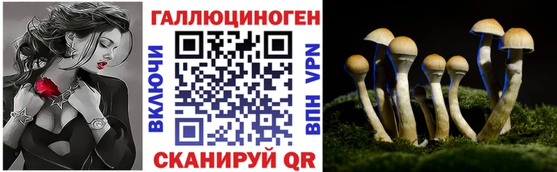 Галлюциногенные грибы GOLDEN TEACHER  МЕГА зеркало  Палласовка 